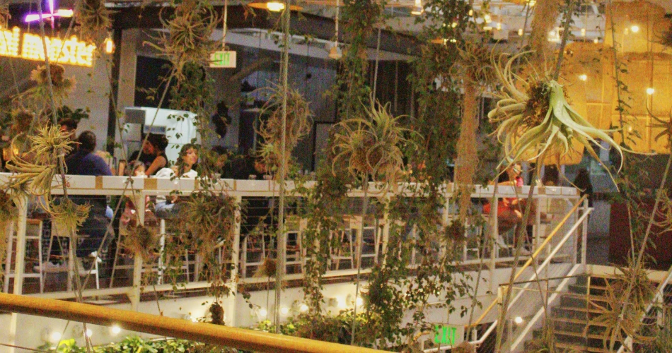 10 Best Free Things to Do in and Around Anaheim